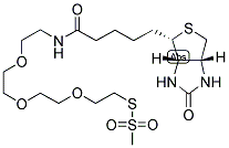 1-BIOTINYLAMINO-3,6,9-TRIOXAUNDECANE-11-YL-METHANETHIOSULFONATE Struktur