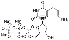 AMINOALLYL DUTP Struktur