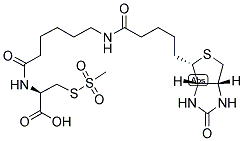 N-[6-(BIOTINAMIDO)HEXANOYL]-(R)-2-AMINO-2-CARBOXYETHYLMETHANETHIOSULFONATE Struktur