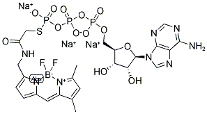 ADENOSINE 5'-O-(3-THIOTRIPHOSPHATE), BODIPY(R) FL THIOETHER, TRISODIUM SALT Struktur