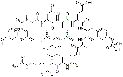 PROTEIN TYROSINE PHOSPHATASE SUBSTRATE III Struktur