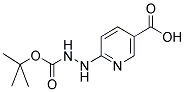 6-BOC-HYDRAZINONICOTINIC ACID Struktur