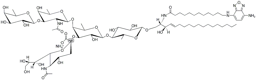 GANGLIOSIDE GM1 NBD, OVINE BRAIN