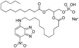 1-MYRISTOYL-2-[12-[(7-NITRO-2-,1,3-BENZOXADIAZOL-4-YL)AMINO]DODECANOYL]-SN-GLYCEROL-3-PHOSPHO-RAC-(1-GLYCEROL) SODIUM SALT Struktur