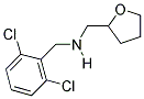 N-(2,6-DICHLOROBENZYL)-N-(TETRAHYDROFURAN-2-YLMETHYL)AMINE Struktur