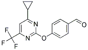 4-(4-CYCLOPROPYL-6-TRIFLUOROMETHYL-PYRIMIDIN-2-YLOXY)-BENZALDEHYDE Struktur