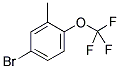 3-METHYL-4-(TRIFLUOROMETHOXY)BROMOBENZENE Struktur