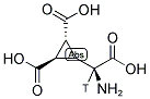 DCG IV, [3H] Struktur