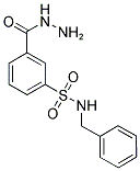 N-BENZYL-3-(HYDRAZINOCARBONYL)BENZENESULFONAMIDE Struktur