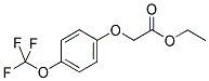 (4-TRIFLUOROMETHOXYPHENOXY) ACETIC ACID ETHYL ESTER Struktur