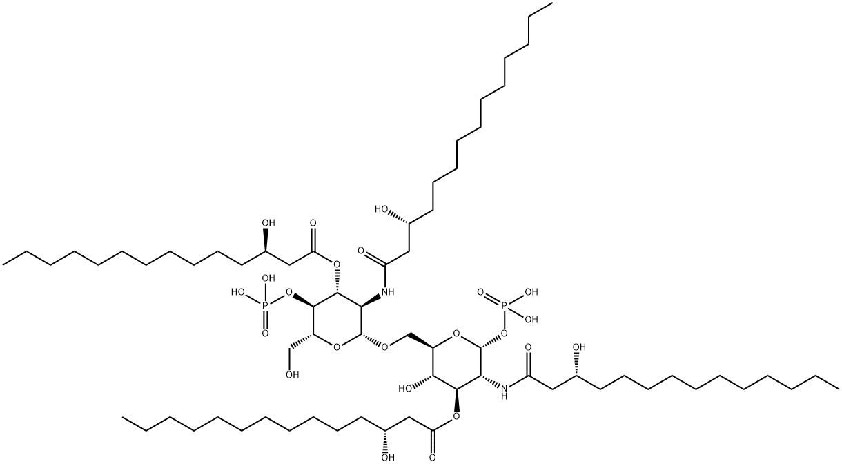 LIPID IVA Struktur