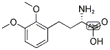 (S)-2-AMINO-4-(2,3-DIMETHOXY-PHENYL)-BUTYRIC ACID Struktur