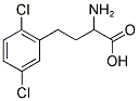 2-AMINO-4-(2,5-DICHLORO-PHENYL)-BUTYRIC ACID Struktur