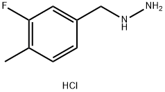 (4-METHYL-3-FLUOROBENZYL)HYDRAZINE DIHYDROCHLORIDE Struktur