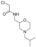 2-CHLORO-N-[(4-ISOBUTYLMORPHOLIN-2-YL)METHYL]ACETAMIDE Struktur