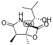 ALPHA-METHYL CLASTO-LACTACYSTIN BETA-LACTONE Struktur