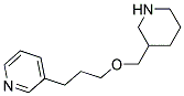 3-([3-(3-PYRIDINYL)PROPOXY]METHYL)PIPERIDINE Struktur