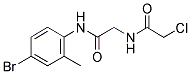 N-[2-[(4-BROMO-2-METHYLPHENYL)AMINO]-2-OXOETHYL]-2-CHLOROACETAMIDE Struktur