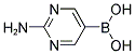 2-AMINOPYRIMIDINE-5-BORONIC ACID Struktur