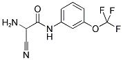 2-AMINO-2-CYANO-N-(3-TRIFLUOROMETHOXY-PHENYL)-ACETAMIDE Struktur