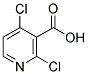 2,4-DICHLORO-3-PYRIDINECARBOXYLIC ACID Struktur