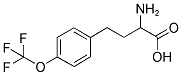 2-AMINO-4-(4-TRIFLUOROMETHOXY-PHENYL)-BUTYRIC ACID Struktur