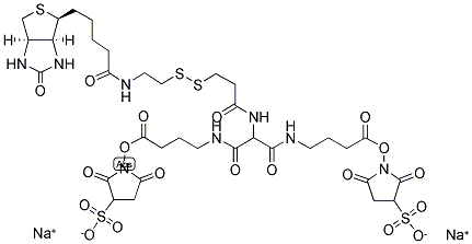 7-[[2-BIOTINYLAMIDOETHYL]-DITHIOPROPIONAMIDO]-5,9-DIAZA-6,8-DECANDIOIC ACID, BIS-N-SULFOSUCCINIMIDYL ESTER DISODIUM SALT Struktur