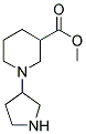 1-PYRROLIDIN-3-YL-PIPERIDINE-3-CARBOXYLIC ACID METHYL ESTER Struktur