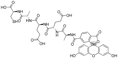 6-FAM-AEEAC-SHK Structure