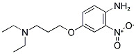 4-[3-(N,N-DIETHYLAMINO)PROPOXY]-2-NITROANILINE Struktur