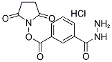 5-(SUCCINIMIDYLOXYCARBONYL)-BENZOYLHYDRAZINIUM CHLORIDE Struktur