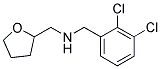 N-(2,3-DICHLOROBENZYL)-N-(TETRAHYDROFURAN-2-YLMETHYL)AMINE Struktur