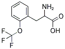 2-AMINO-3-(2-TRIFLUOROMETHOXY-PHENYL)-PROPIONIC ACID Struktur