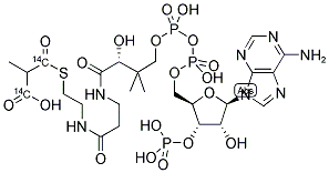 METHYLMALONYL COENZYME A, DL-2 [1,3-14C] Struktur