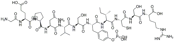 GLYCOGEN SYNTHASE KINASE 3 BETA (PTYR 216) (210-220) [MUS MUSCULUS]/[RATTUS NORVEGICUS] Struktur