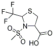 IFLAB-BB F2124-0067 Struktur