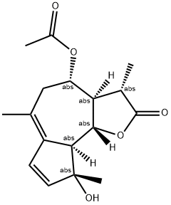 MATRICIN Struktur