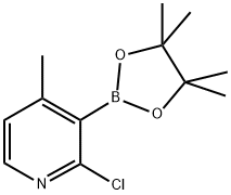 2-CHLORO-4-METHYLPYRIDINE-3-BORONIC ACID PINACOL ESTER Struktur