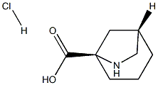 (1S,5R)-6-AZABICYCLO[3.2.1]OCTANE-5-CARBOXYLIC ACID HYDROCHLORIDE Struktur