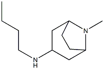 BUTYL-(8-METHYL-8-AZA-BICYCLO[3.2.1]OCT-3-YL)-AMINE Struktur