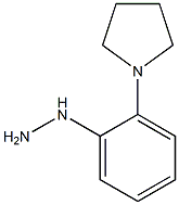 (2-PYRROLIDIN-1-YL-PHENYL)-HYDRAZINE Struktur