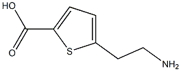 5-(2-AMINOETHYL)THIOPHENE-2-CARBOXYLIC ACID Struktur