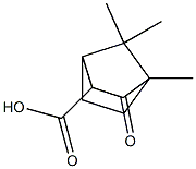 (+/-)-3-CAMPHORCARBOXYLIC ACID Struktur