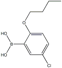 2-BUTOXY-5-CHLOROPHENYLBORONIC ACID Struktur