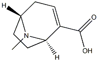 ECGONIDINE Struktur