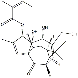 巨大戟醇甲基丁烯酸酯, 849146-39-0, 結(jié)構(gòu)式