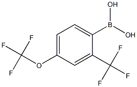 4-TRIFLUOROMETHOXY-2-TRIFLUOROMETHYLPHENYLBORONIC ACID Struktur