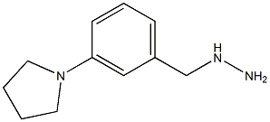 (3-PYRROLIDIN-1-YL-BENZYL)-HYDRAZINE Struktur