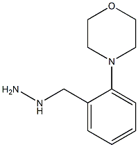 (2-MORPHOLIN-4-YL-BENZYL)-HYDRAZINE Struktur