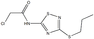 2-CHLORO-N-[3-(PROPYLTHIO)-1,2,4-THIADIAZOL-5-YL]ACETAMIDE Struktur